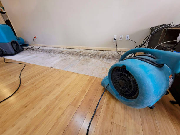 Reliable Basement Flood Cleanup contractor in Mundelein, IL by Hirex Water Damage