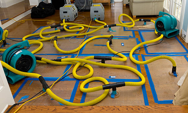 Professional Basement Flood Cleanup technician working in Mundelein, IL